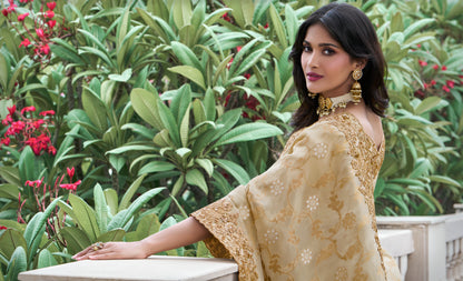 Beige Pure Viscose Silk Saree