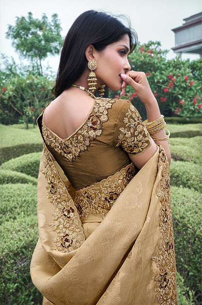 brown Shaded Pure Tissue Silk Saree