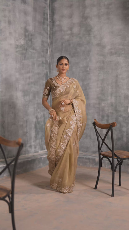Beige Tissue Silk Saree