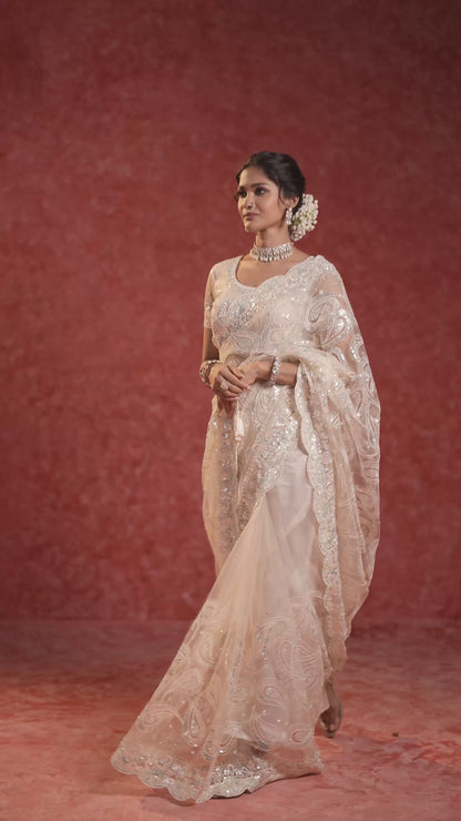 White Nett Saree
