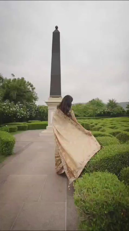 brown Shaded Pure Tissue Silk Saree