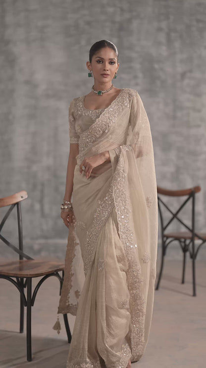 Chiku Tissue Silk Saree